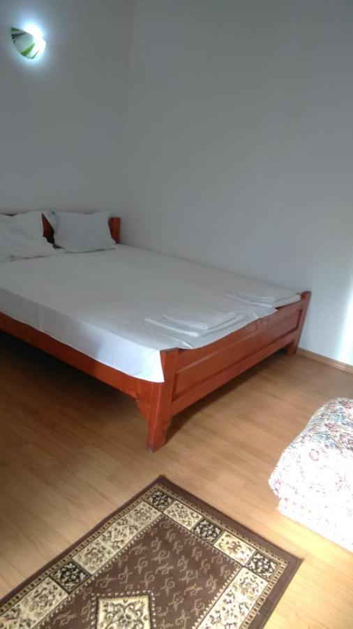 Vila Stefan Pescarusului Костинещи Екстериор снимка